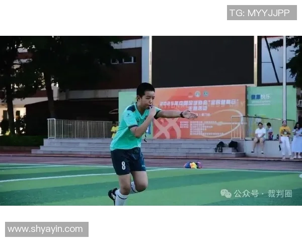 北京羽毛球队个人能力分析与发展策略探讨 北京羽毛球队个人能力分析与发展策略探讨