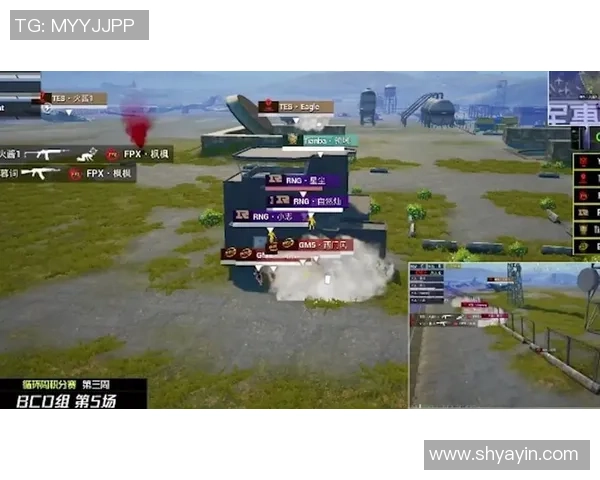 和平精英深度解析FPX团队运营策略与成功之道