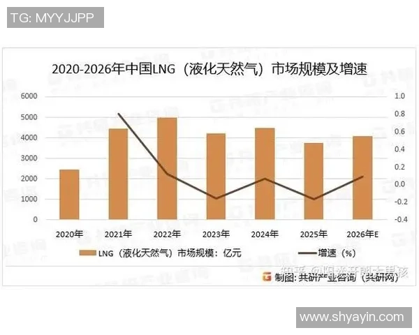 数据分析在液化天然气领域的个人能力提升与表现研究